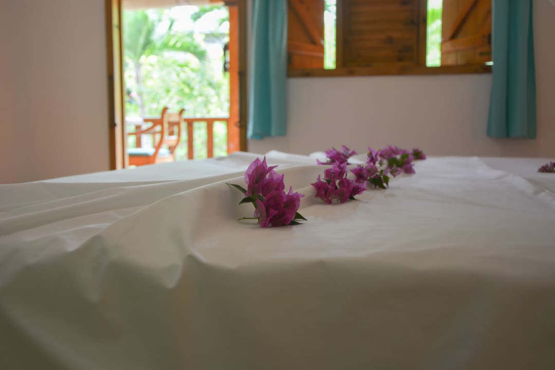 Zimmer Bois d'Amour Guesthouse