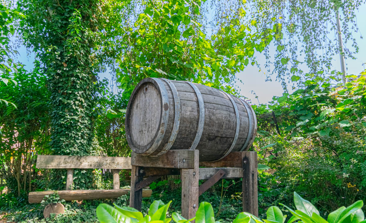 Sonstiges Weinhotel Ayler Kupp