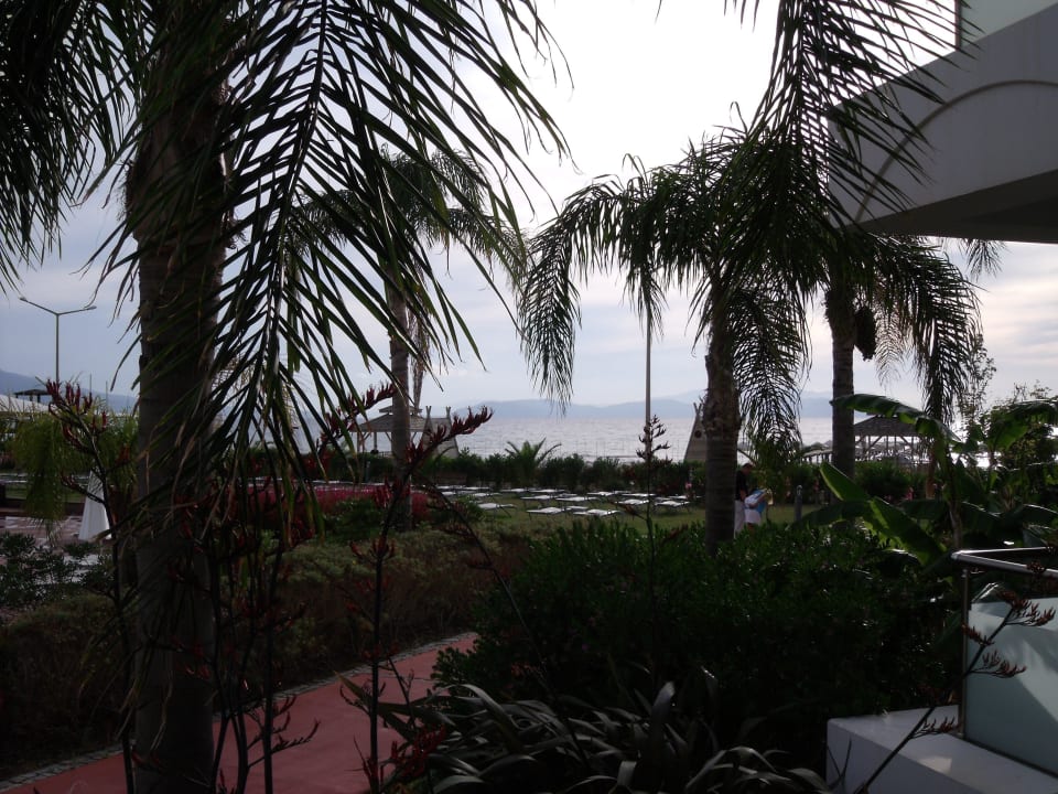 Blick von meinem Balkon im Erdgeschoss  Grand Belish Resort Hotel & Spa