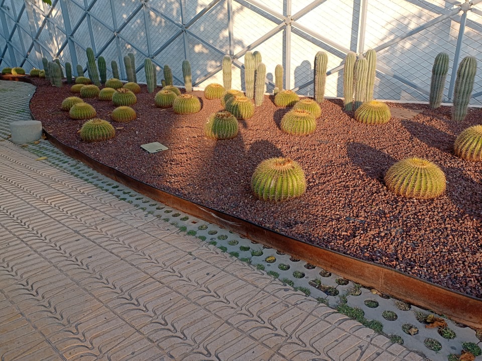 Gartenanlage The Ibiza Twiins