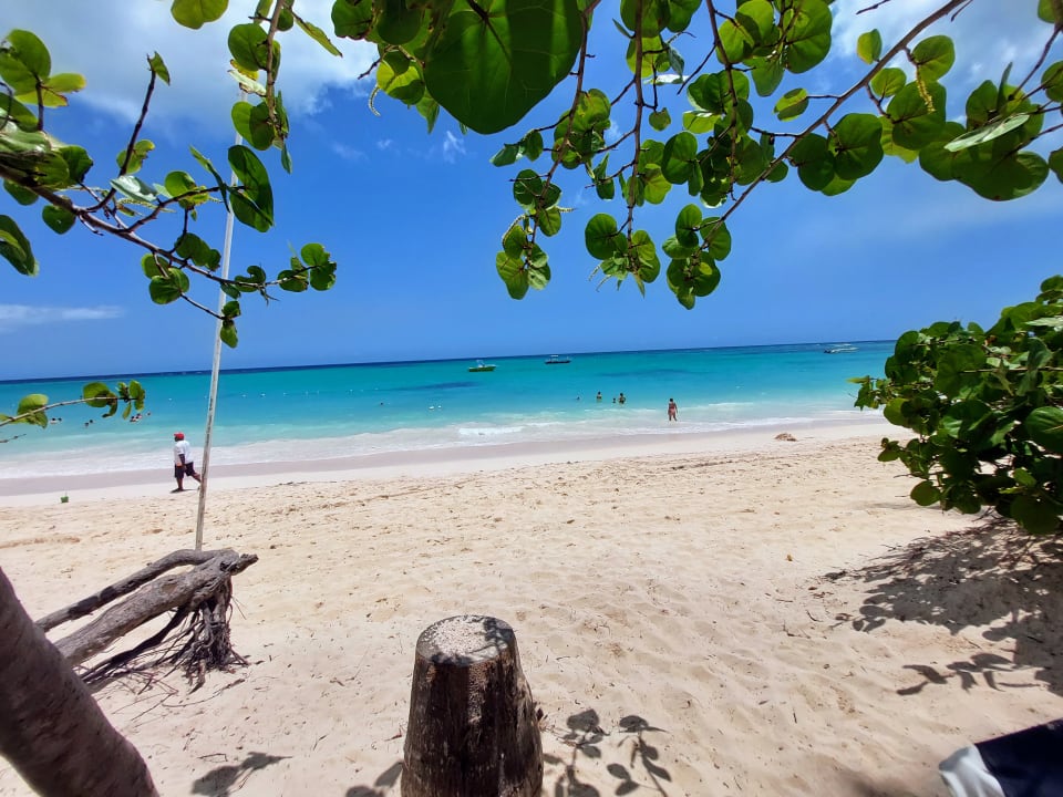 Strand Grand Palladium Punta Cana Resort & Spa