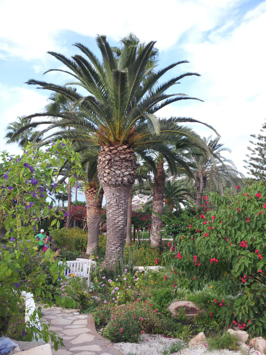 Unterwegs im Garten Hotel Nissi Beach Resort