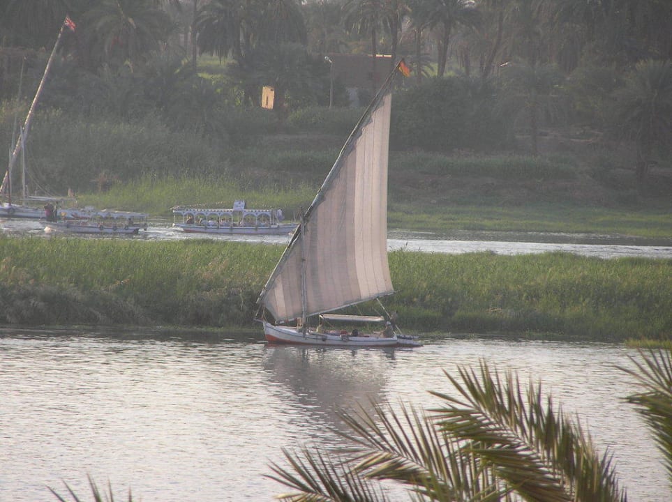 Ausblick Steigenberger Resort Achti Luxor