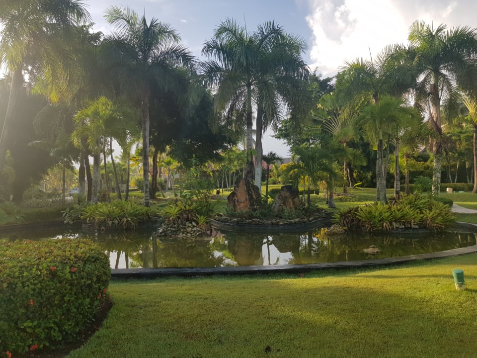 Außenansicht Meliá Caribe Beach Resort-All Inclusive