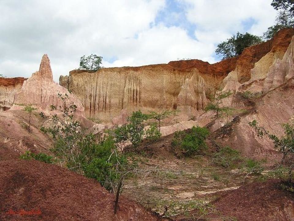 Hell's Kitchen 17 Hotel Traveller's Club