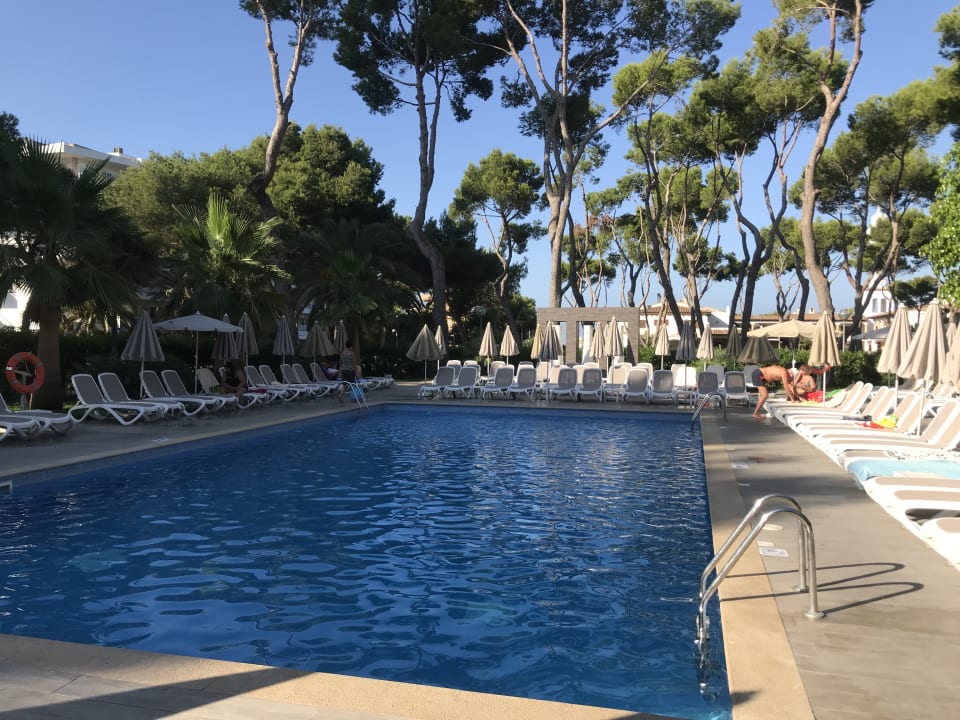 Pool Hotel Riu Festival