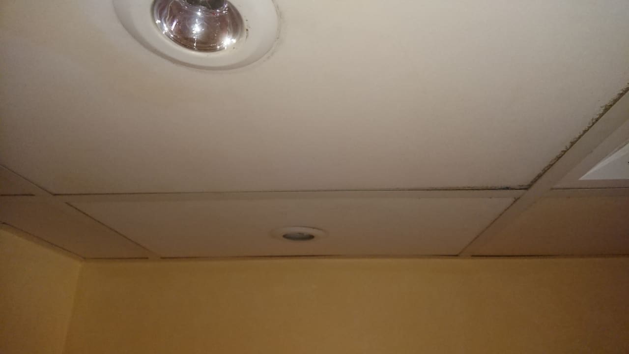 Zimmer Ghazala Gardens