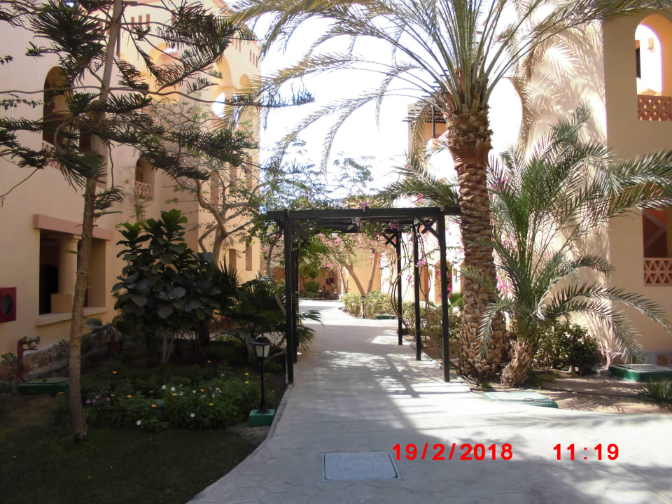 Gartenanlage Steigenberger Coraya Beach - Adults only