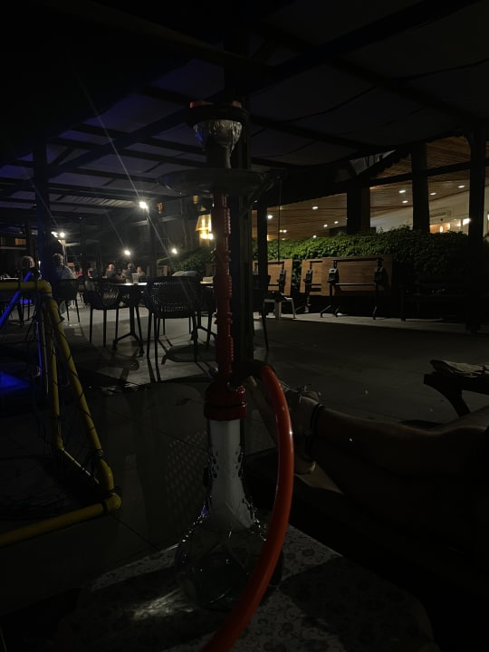 Pool Hotel Orfeus Park