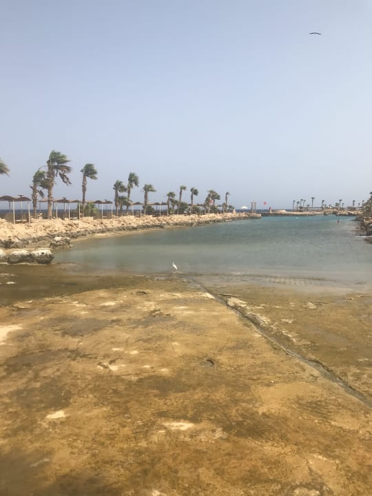 Strand Pickalbatros Citadel Resort