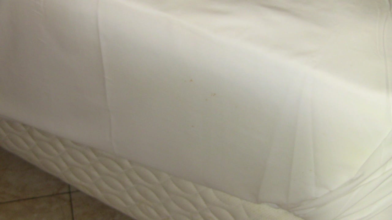 Flecken auf Matratze Hotel Riu Palace Punta Cana