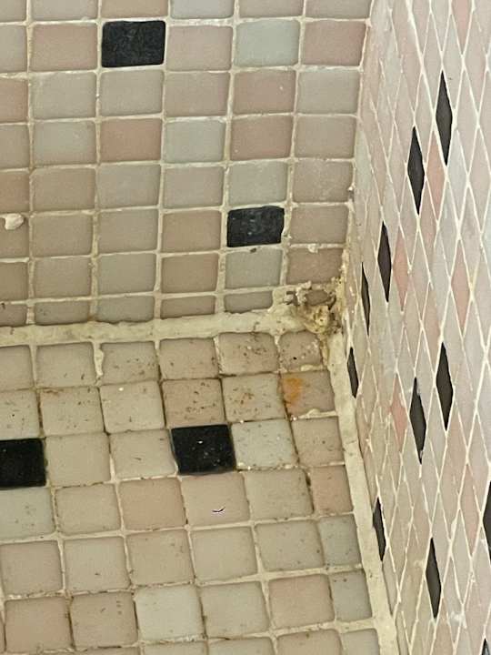 Zimmer Makadi Spa - Adults only