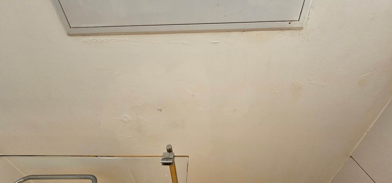 Zimmer Bull Dorado Beach & Spa