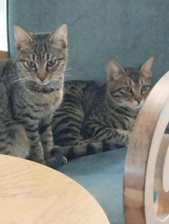 Sonstiges Well Palace Side