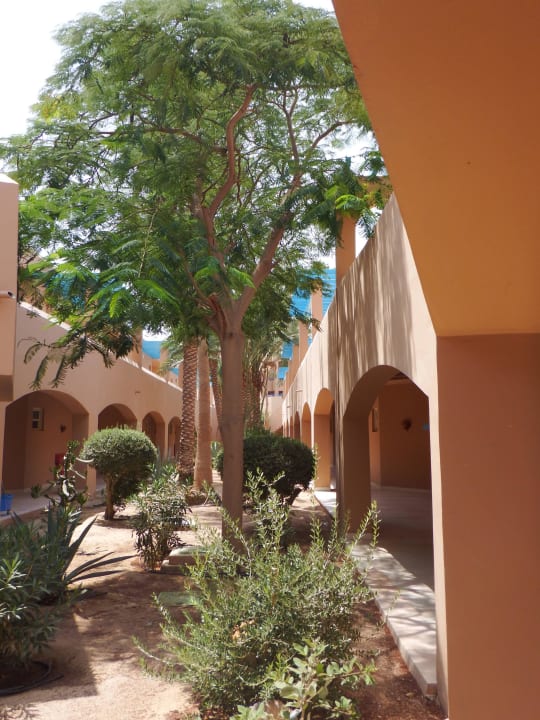 Grün und sauber Club Paradisio El Gouna, Red Sea