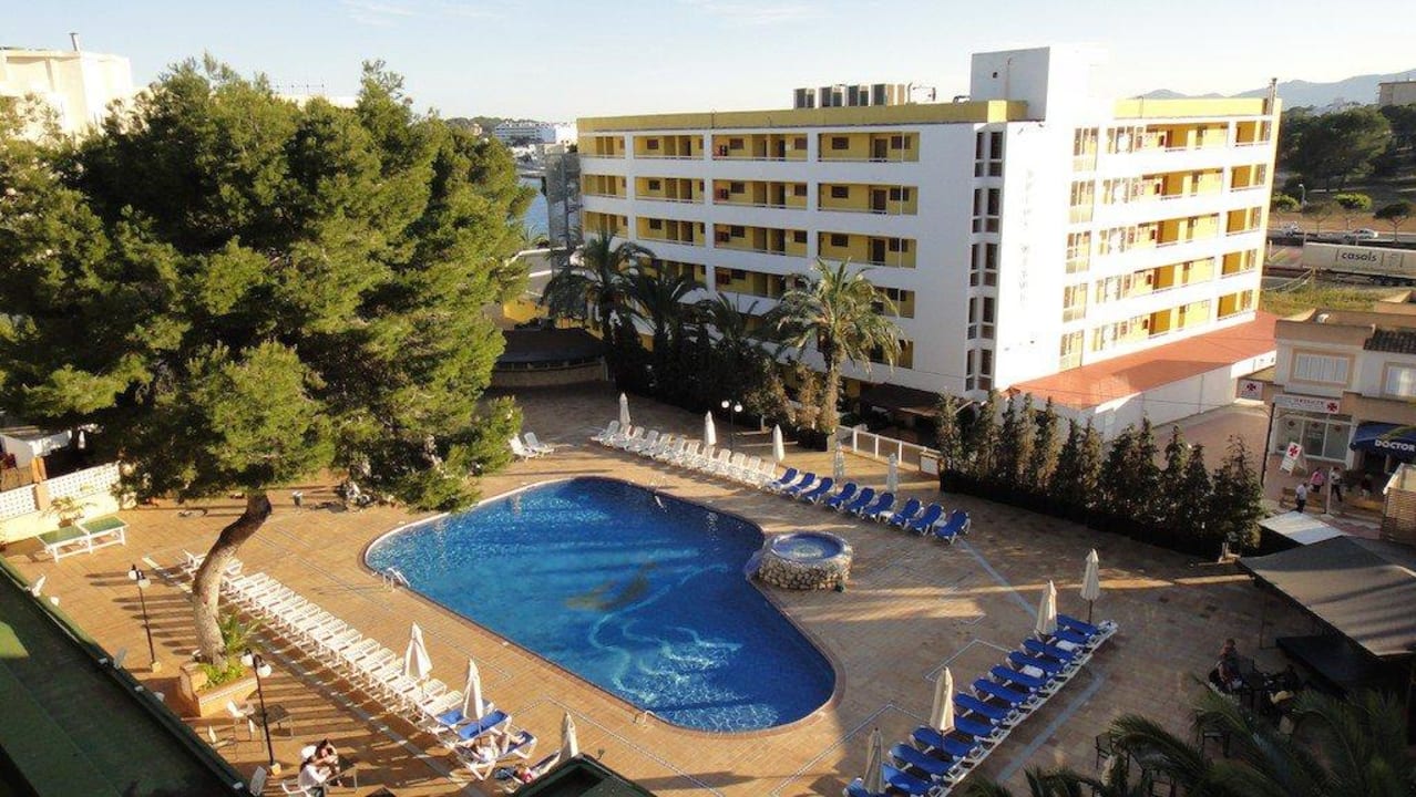 "Gepflasterter" Pool, die Bäume schreien Hilfe Moon Dreams Coral Beach