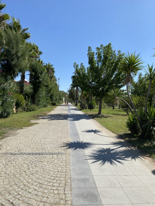 Ausblick Well Palace Side