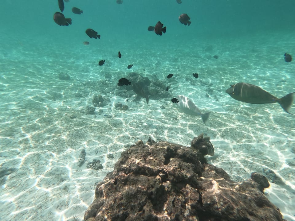 Strand Kuredu Island Resort & Spa