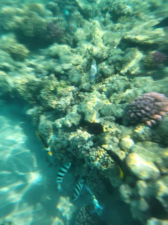 Strand Grand Waterworld Makadi