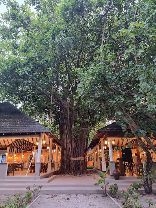 Gastro Adaaran Select Meedhupparu Island Resort - Premium All Inclusive