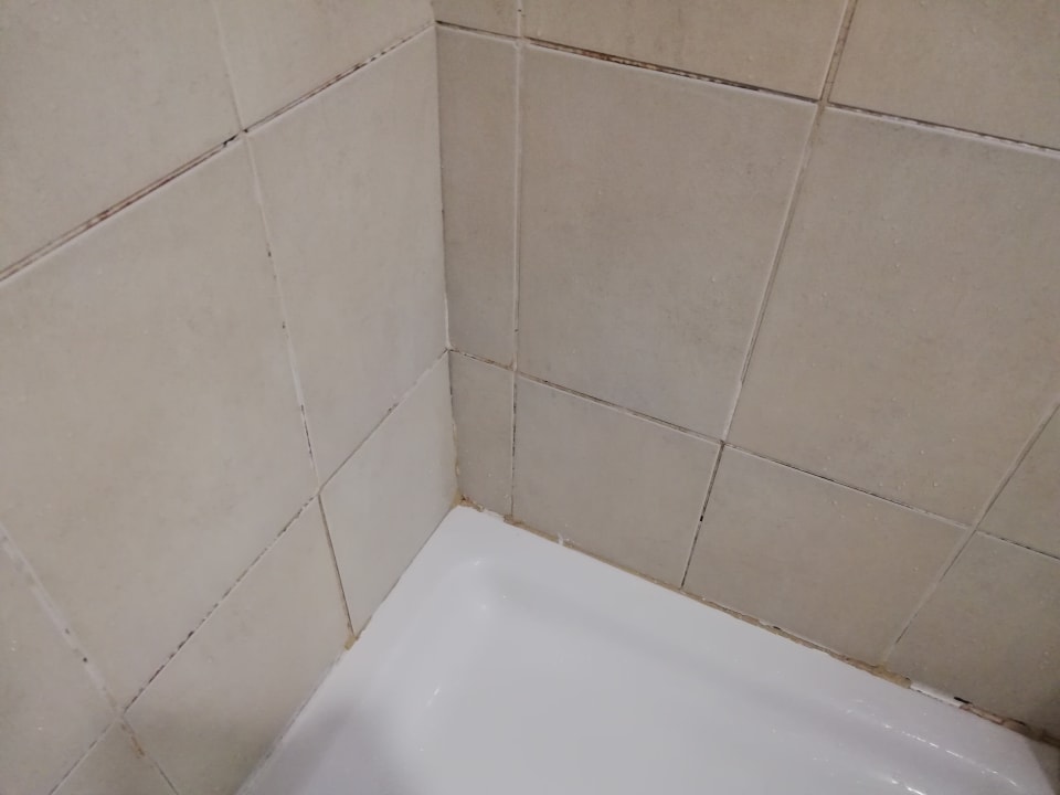 Zimmer Starfish Cuatro Palmas