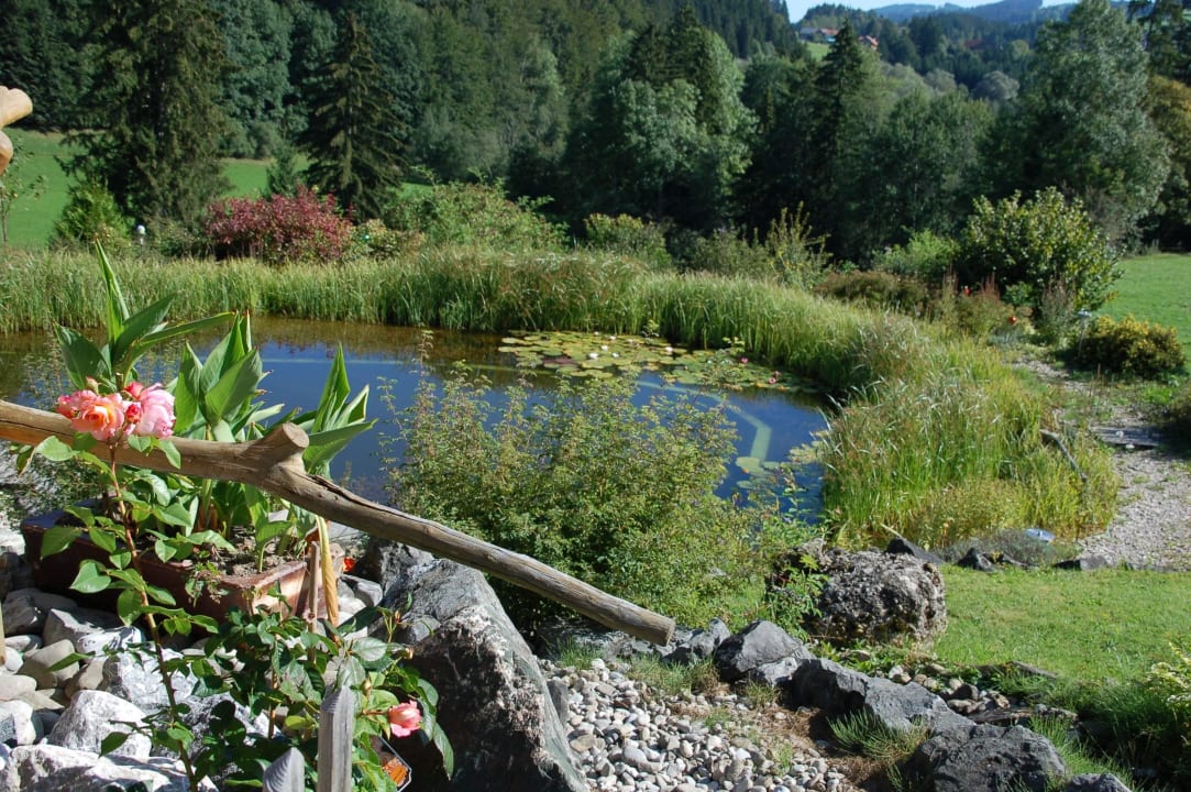 Hauseigener Schwimmteich Kneipp-Gesundheitshof Gablerhof