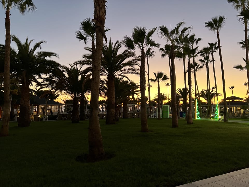 Gartenanlage Hotel Riu Palace Tenerife