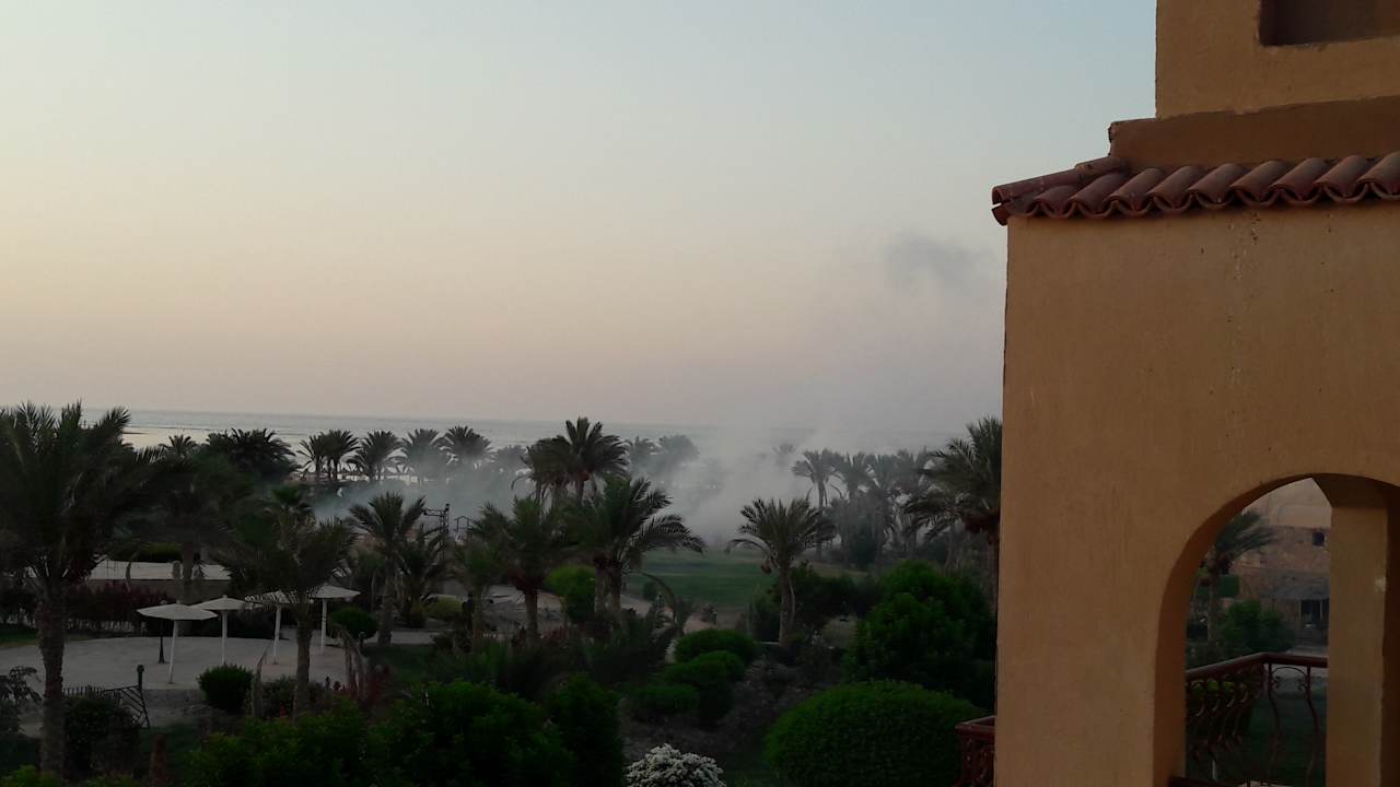 Gartenanlage Pensée Royal Garden Beach Resort