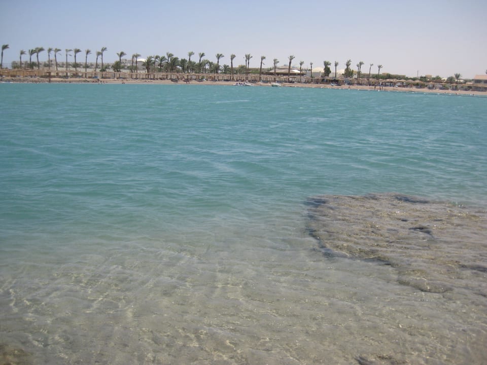 Der wunderschöne Dana-Beach! Pickalbatros Dana Beach Resort - Hurghada