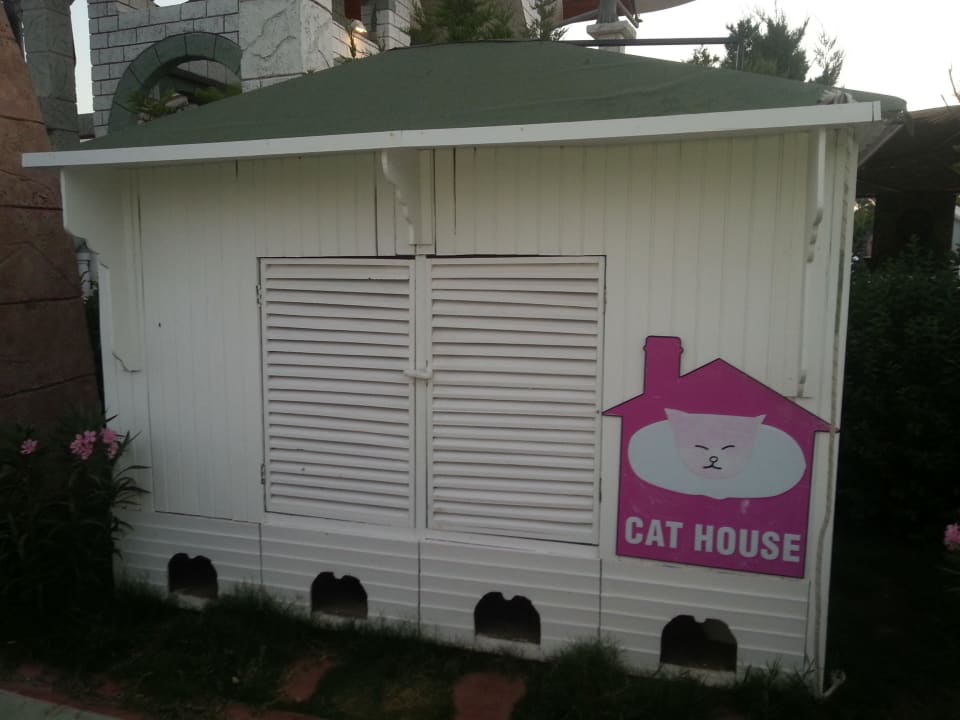 Katzenahus, etwas für Tierliebhaber Hotel Delphin Imperial