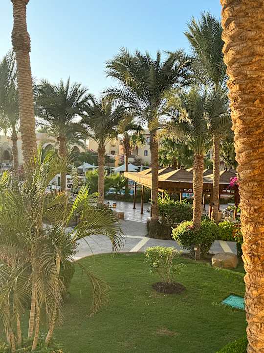 Gartenanlage Steigenberger Coraya Beach - Adults only