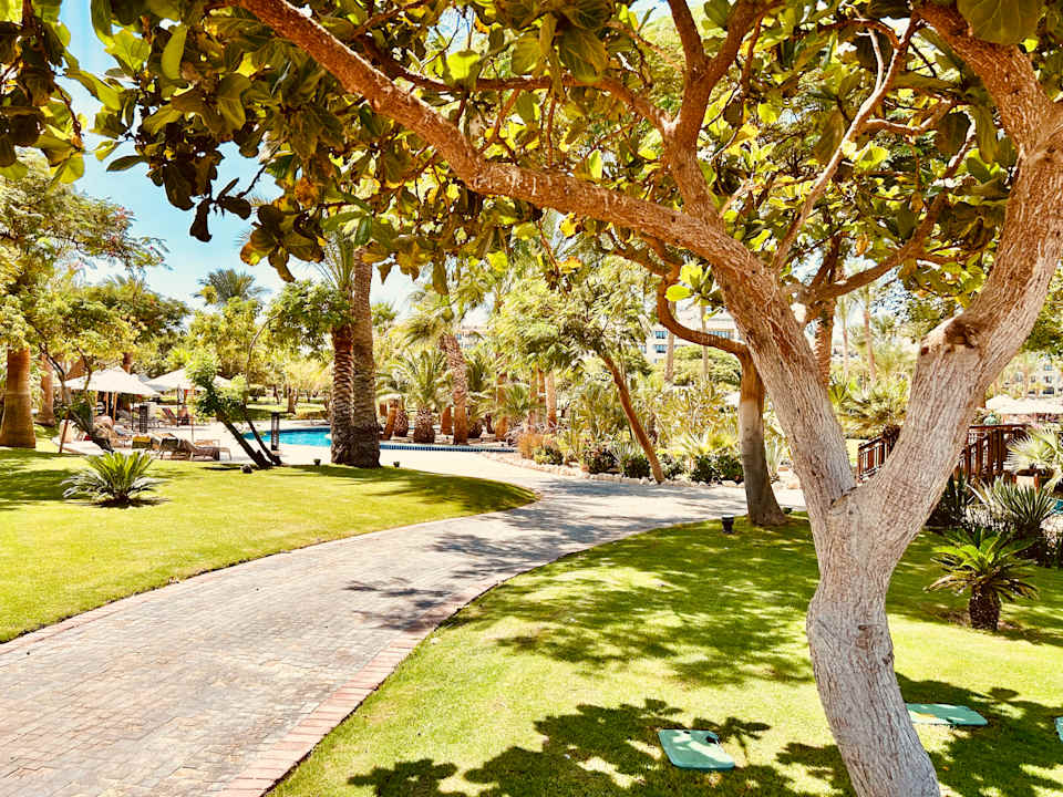 Gartenanlage Steigenberger ALDAU Beach Hotel