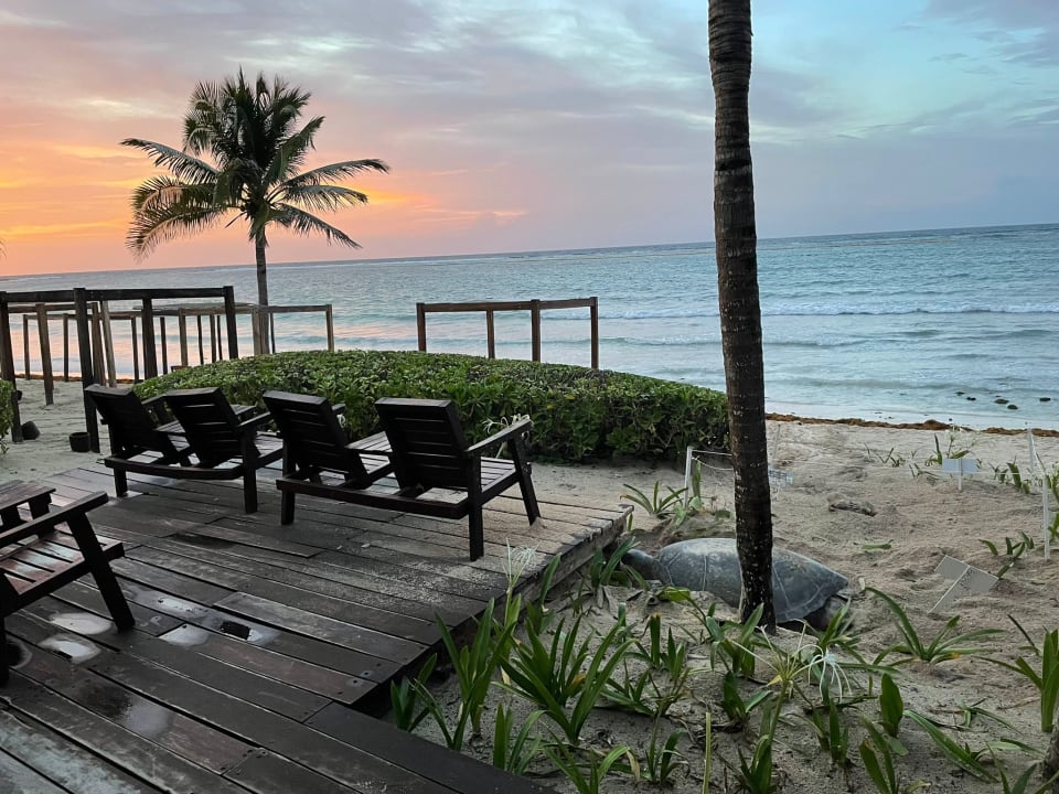 Ausblick Akumal Bay Beach & Wellness Resort