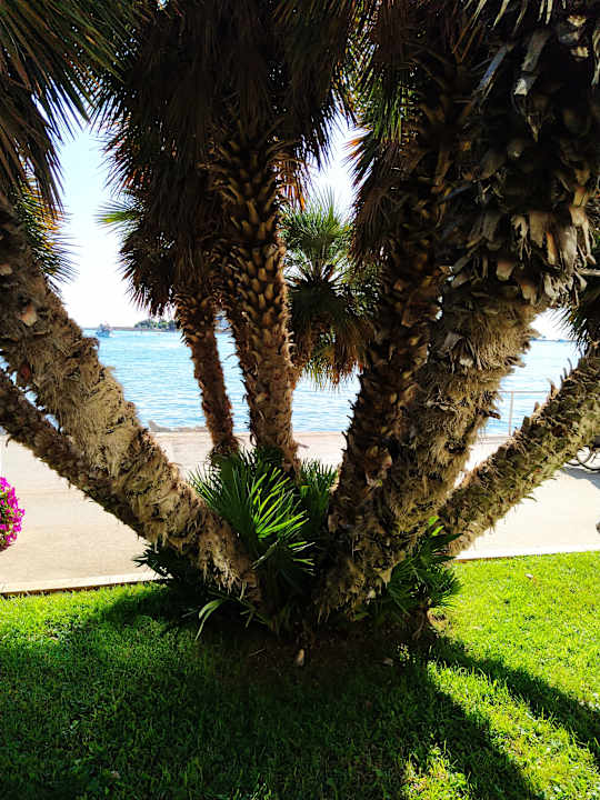 Ausblick Hotel Istra Plava Laguna