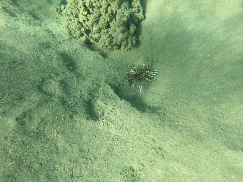 Sport & Freizeit Lahami Bay Beach Resort