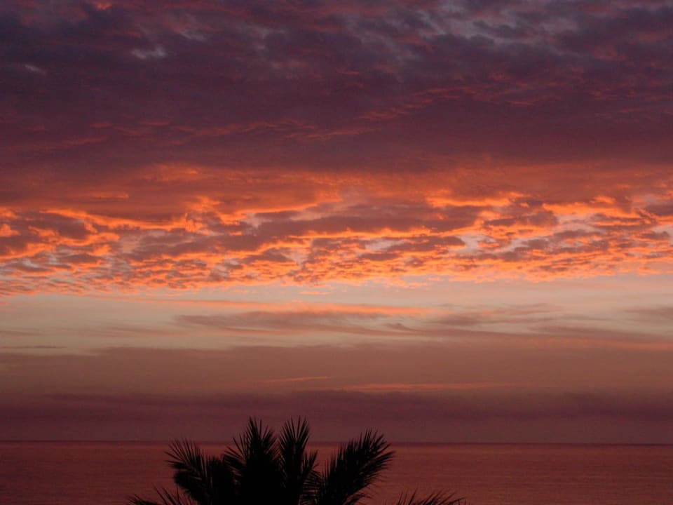 Sonnenaufgang vom Balkon Occidental Jandía Royal Level - Adults only