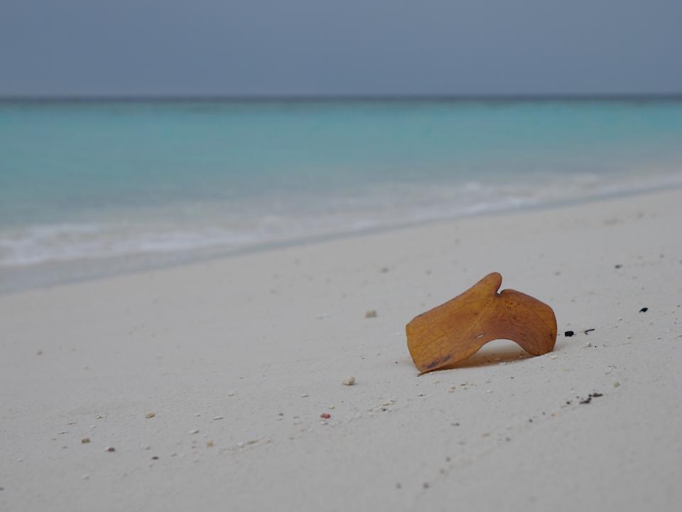 Strand Safari Island Maldives