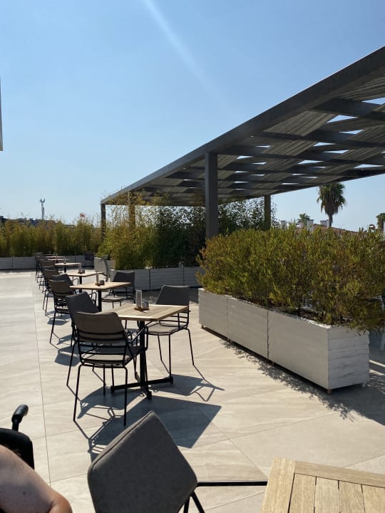 Gastro Acanthus Cennet Barut Collection