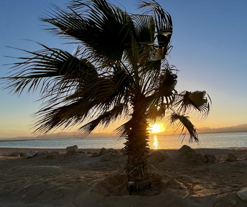 Strand Hotel Sheraton Soma Bay Resort