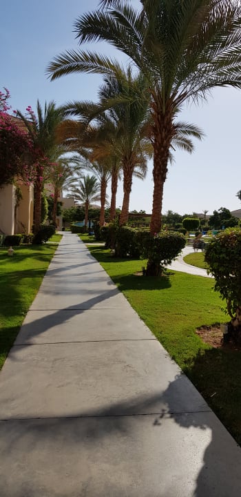 Gartenanlage Jaz Bluemarine