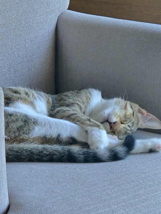 Sonstiges TUI BLUE Xanthe