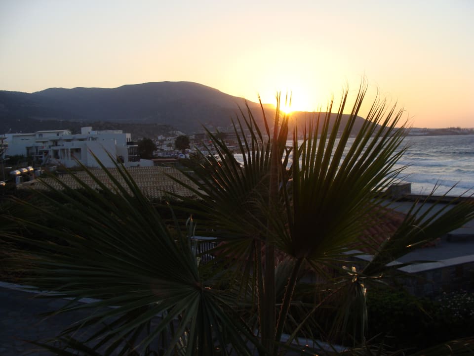 Ausblick Alexander Beach Hotel & Village Resort