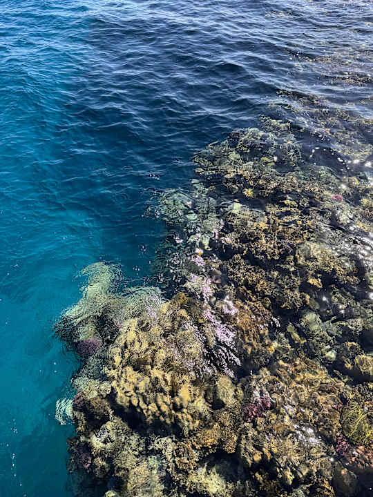 Strand Sentido Reef Oasis Suakin