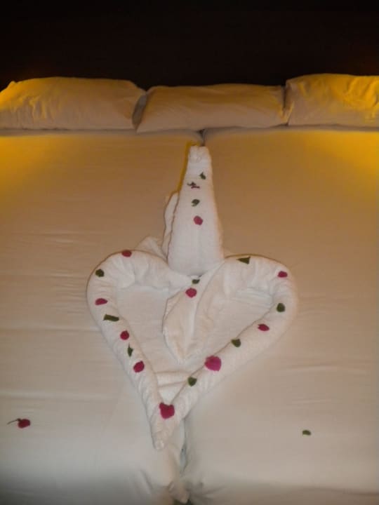 Jeden Tag eine neue Kreation Jaz Dar EL Madina