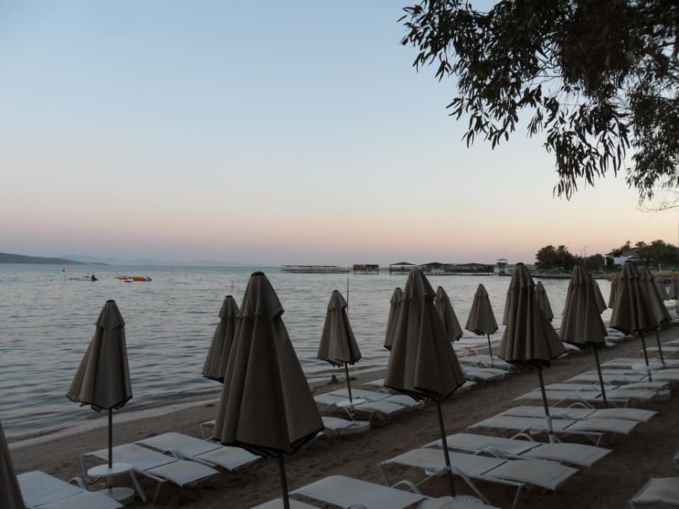 Strand Asteria Venus Didim