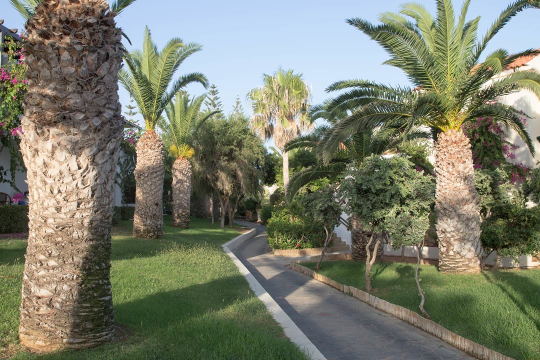 Gartenanlage Iberostar Selection Creta Marine