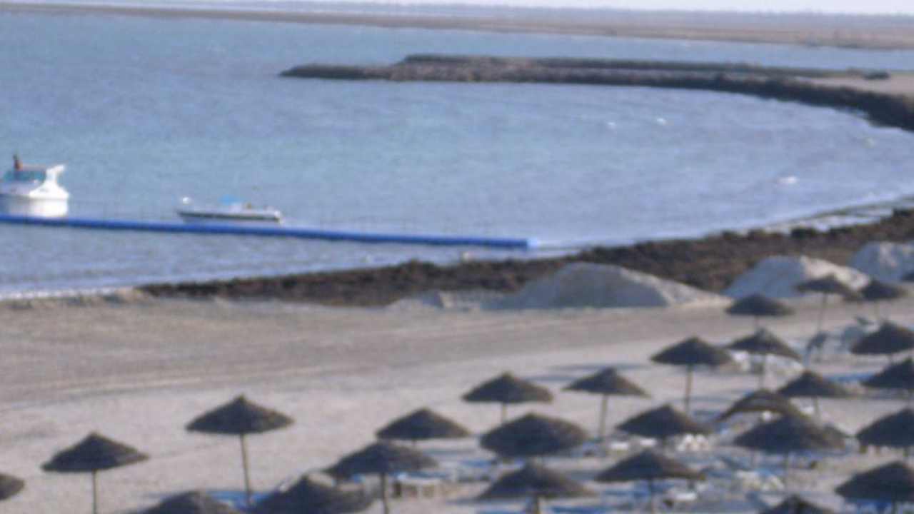 Strand mit Algen Hotel Bravo Djerba