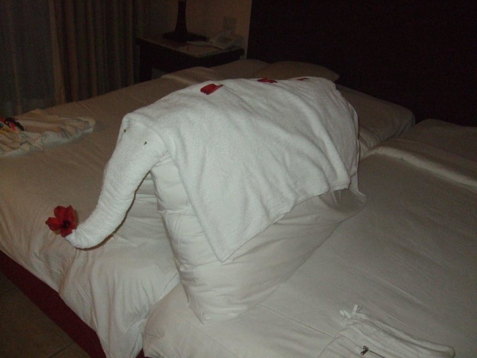 Mal wieder was anderes TUI MAGIC LIFE Kalawy