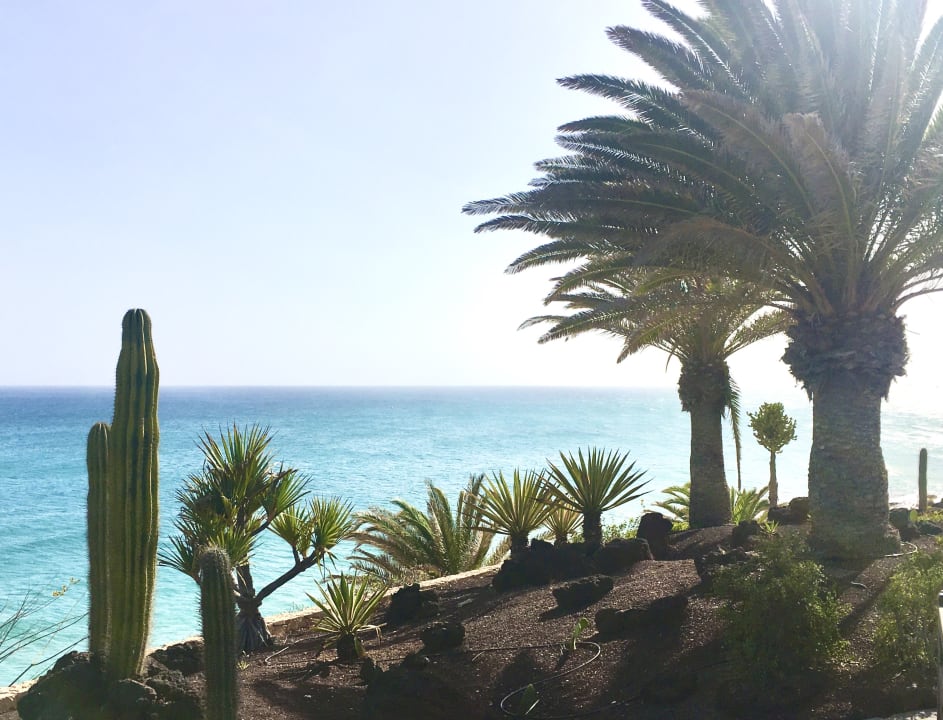 Ausblick R2 Pajara Beach