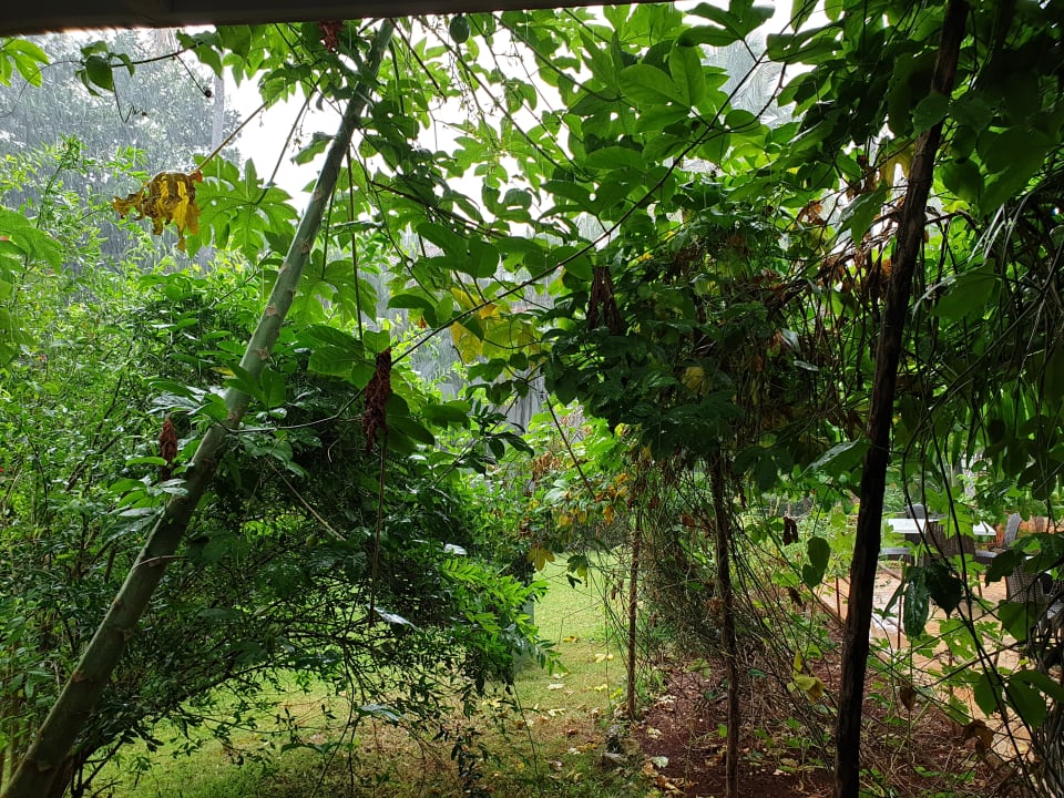 Ausblick Wyndham Alltra Samana